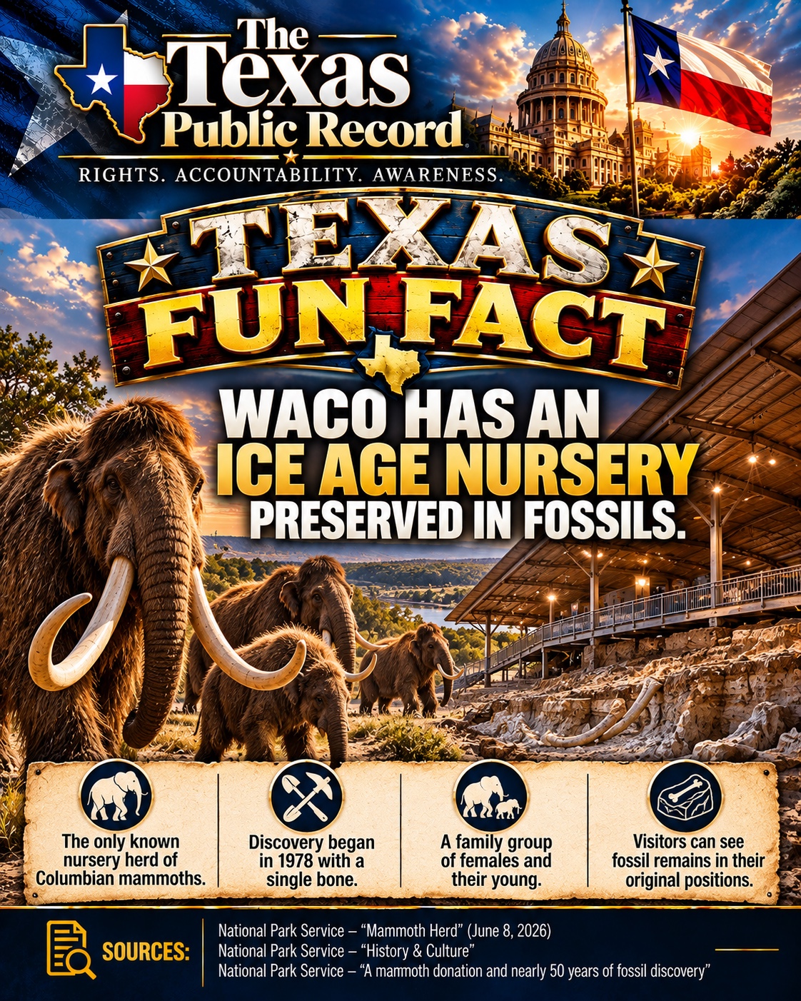 Texas Fun Fact: Waco has an Ice Age nursery preserved in fossils. Educational illustration of mammoths and a fossil dig shelter.